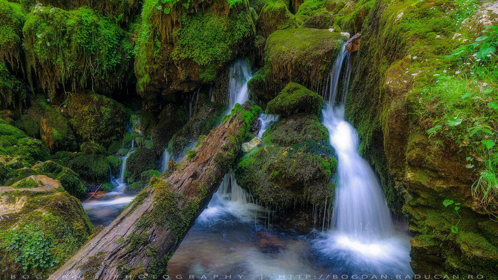 Detalii ascunse muntii apuseni